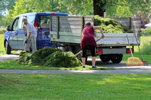 landscape gardening project