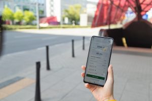 access to payday loan using API